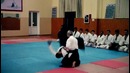 ROLIK AIKIDO