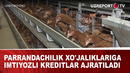 Parrandachilik xo’jaliklariga imtiyozli kreditlar ajratiladi