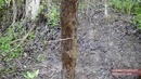 Primitive Technology: Bow and Arrow