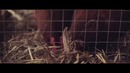Чем опасен алкоголь (Ellgin)