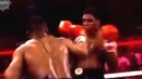 Mike tyson haqida