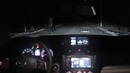 Собака за рулем