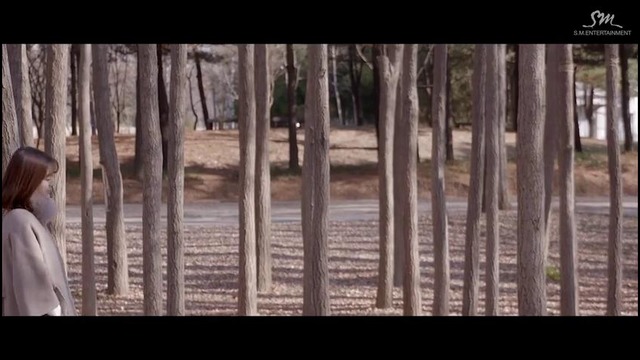 Red Velvet – Wish Tree Music Video
