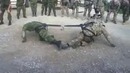 Противостояние канадского и американского солдатов