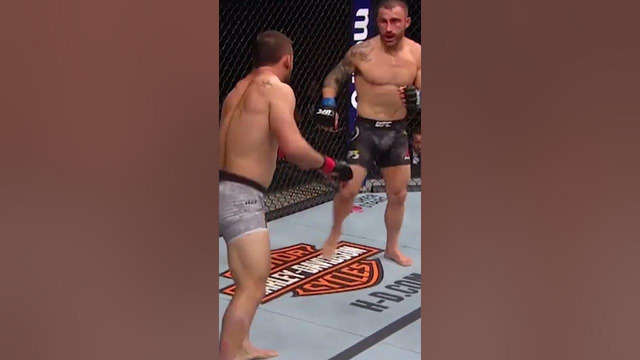 Is THIS Volkanovski’s BEST KO?? 🤔 #shorts