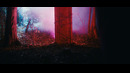 LANDMVRKS – Creature (Official Video 2024)
