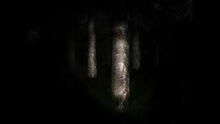 Let’s Play по Slender Man Eight Pages