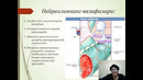 Unit 42 Нерв марказлари