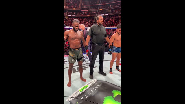 Алджамэйн Стерлинг защитил свой титул чемпиона UFC. Он победил Генри Сехудо на UFC288