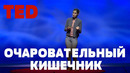 TED | Очаровательный кишечник