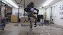 Google Atlas roboti