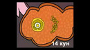 5( Видео) Ўсмирлар репродуктиви