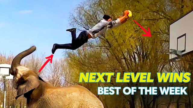 The Most EPIC Trick Shots & More | Best Of The Week