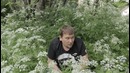 Commentsong- с#у