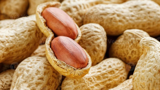 Выращивание арахиса: от посева до упаковки одной из самых популярных закусок в мире