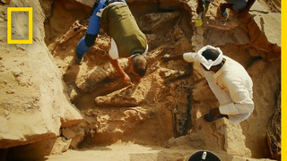 Mummified Crocodiles | Lost Treasures of Egypt