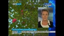 Аномальное тепло вызвало цветение экзотических растений в Сочи