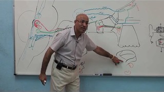 Facial Nerve – Neuroanatomy – Part 3⁄4 | Dr. Najeeb Lectures
