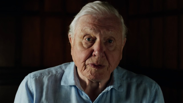 Sir David Attenborough on Saving Baby Turtles | Planet Earth III | BBC Earth