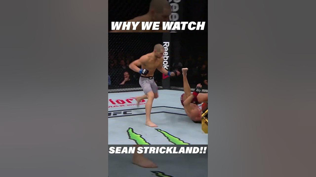 THIS is Why We Watch Sean Strickland