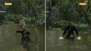 Assassins Creed IV Black Flag Graphics Comparison (HD)