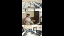 O’zbekistonlik hamshiralar Saudiya Arabistonida ishlashi mumkin