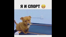 Я и спорт))
