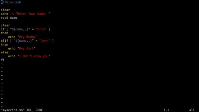Shell Basics – If Then Else with Case Sensitive Strings – Linux – BASH