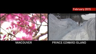 Канада: На востоке снег, а на западе зацвели вишни