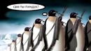 Почему американцы «ПИНДОСЫ»