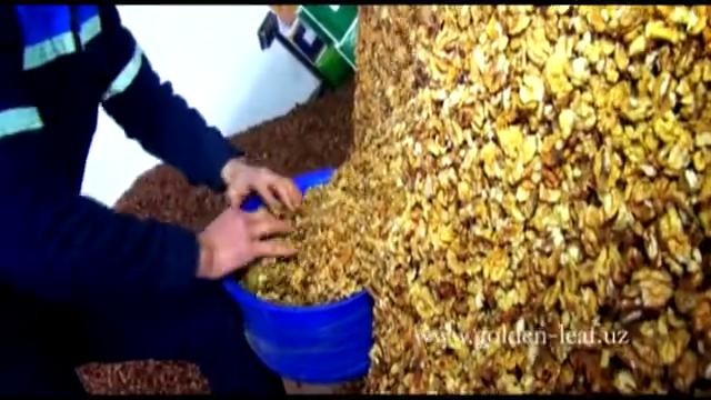 Переработка и фасовка грецкого ореха в Узбекистане