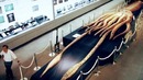 Самые большие подводные существа на планете