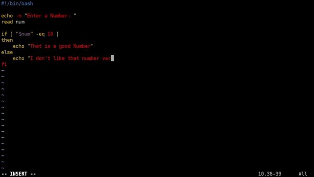 Shell Basics – If Then Else with Integers – Linux – BASH