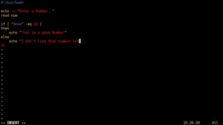 Shell Basics – If Then Else with Integers – Linux – BASH