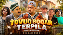 Shakarxanda – Tovuq boqar terpila (hajviy ko’rsatuv)