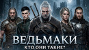 ВЕДЬМАКИ – Вы Даже Не Представляете КТО Они На САМОМ ДЕЛЕ
