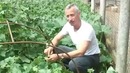 Темный Рыцарь – Джокер. Анти трейлер