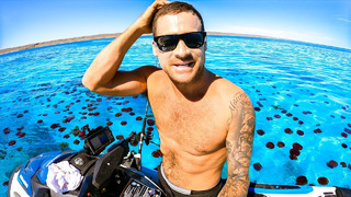 Swimming into 10,000 Jellyfish THAT STING!! – Ep 293