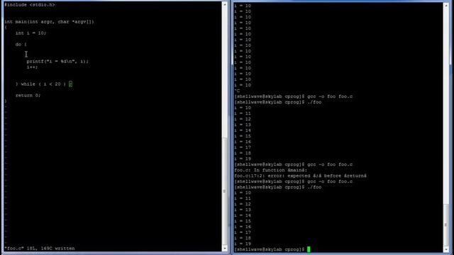 C Programming in Linux Tutorial #009 – - while- Loop