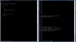 C Programming in Linux Tutorial #009 – - while- Loop