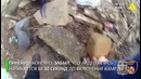 В Балтиморе полицейский подбросил наркотики и сам же снял это на видео
