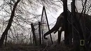 Земля – Жизнь без людей. Документальный фильм