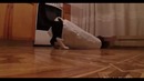 Кот VS пакет