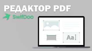 Обзор отличного редактора PDF SwifDoo