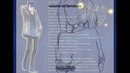 [Aoi Seiza] – Tawagoto Speaker [UTAU RELEASE]+ VB