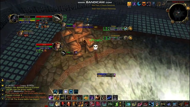 Feral+dc vs feral+dc (ужасно у меня лагает)