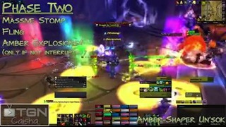 World of Warcraft: Heart of Fear Guides: Amber-Shaper Un’sok (Heroic and Normal)