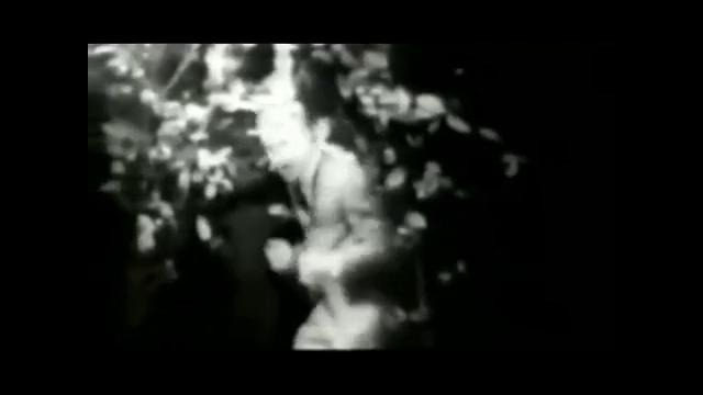 The Trashmen – Surfin Bird – Bird is the Word 1963 (OFFICIAL VIDEO)