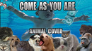 Nirvana – Come As You Are (Animal Cover)