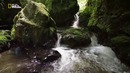 Nat Geo Wild: Прекрасная Америка: Под вулканом
